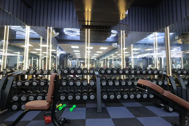 Benches and dumbbell racks